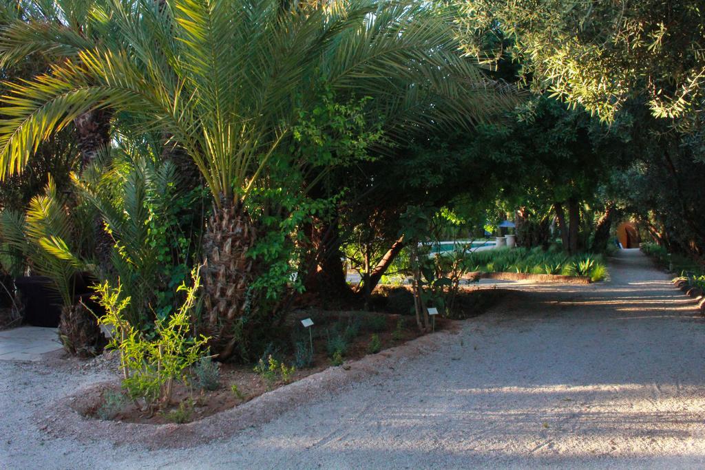 Jnane Tamsna Hotell Marrakesh Exteriör bild