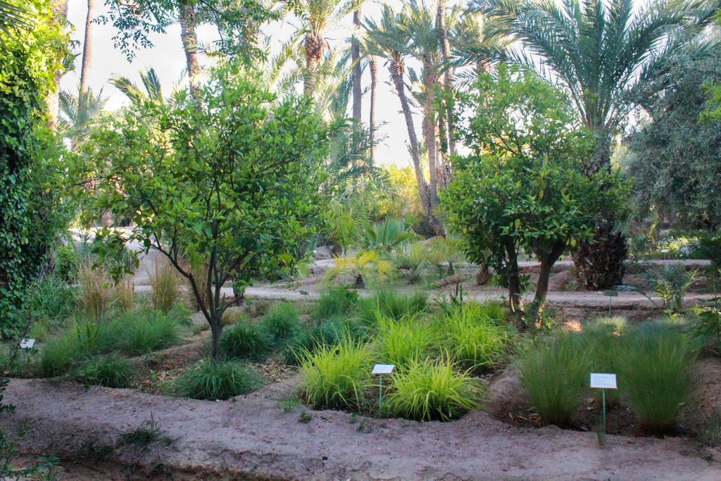 Jnane Tamsna Hotell Marrakesh Exteriör bild