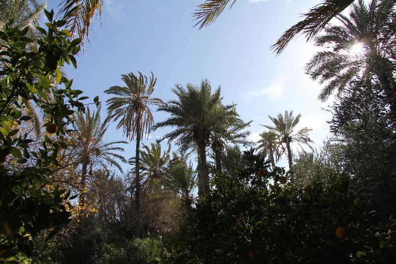 Jnane Tamsna Hotell Marrakesh Exteriör bild