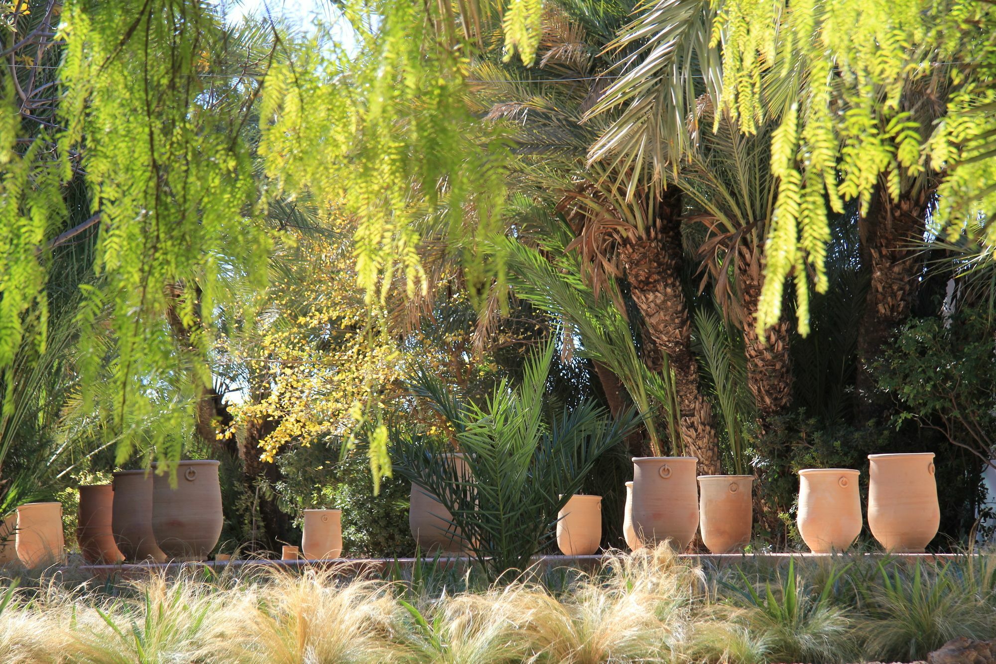 Jnane Tamsna Hotell Marrakesh Exteriör bild