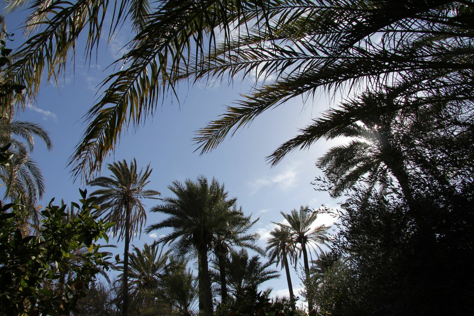 Jnane Tamsna Hotell Marrakesh Exteriör bild