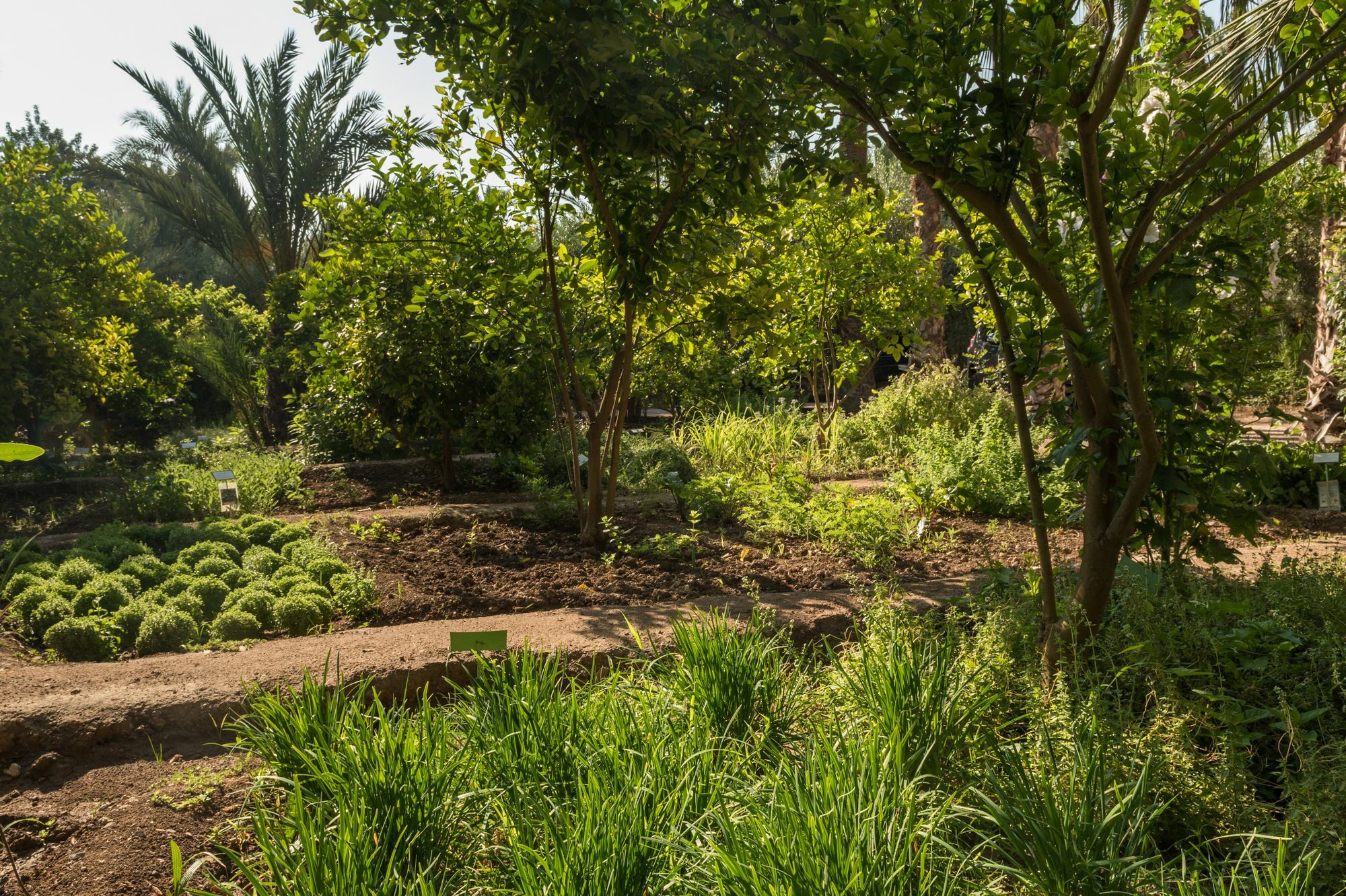 Jnane Tamsna Hotell Marrakesh Exteriör bild